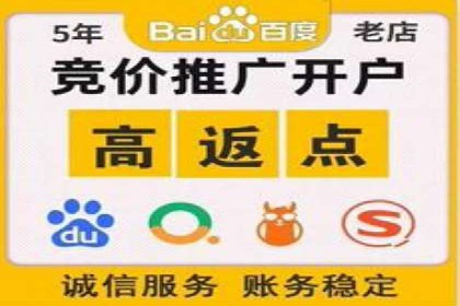 SEM竞价代运营：案例展示精准营销效果